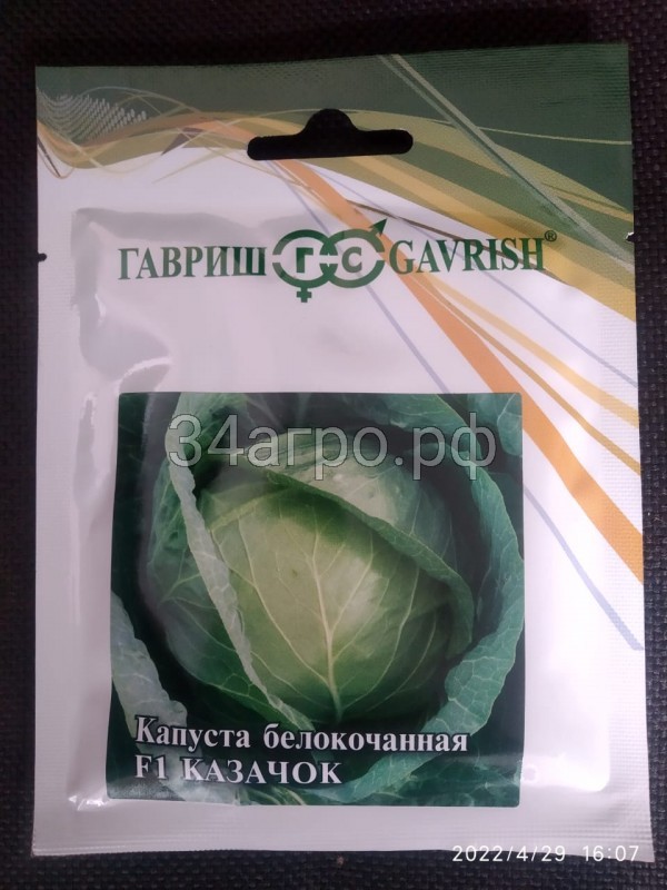 Капуста белокочанная Казачок F1 25 гр.