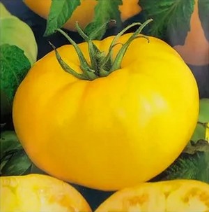 Томат Лимонный король 50 гр