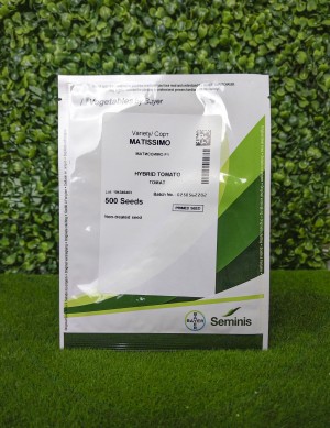 Томат Матиссимо F1 25 семян