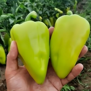 Перец сладкий Амаретта F1 100 семян