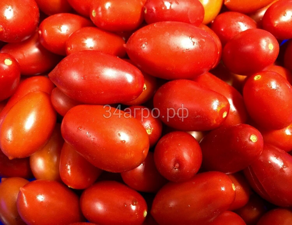 Томат Сахарная слива 50 гр.