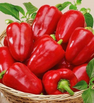 Перец Крепыш 20 гр.