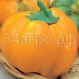 Перец Оранжевый Юбилейный 100 гр.